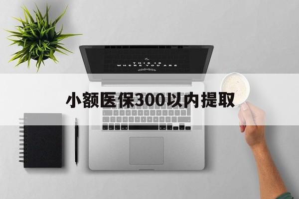 海口最新小额医保300以内提取方法分析(最方便真实的海口小额医保300以内提取中介方法)